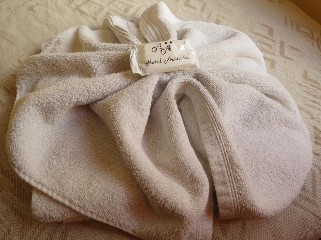 ויז'ה קרלוס פאס Hotel Arenales חדר תמונה